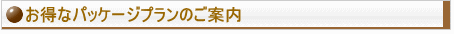 �C���[�W